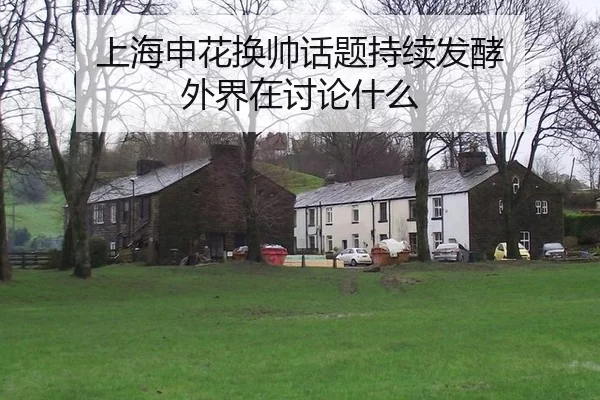 上海申花换帅话题持续发酵 外界在讨论什么